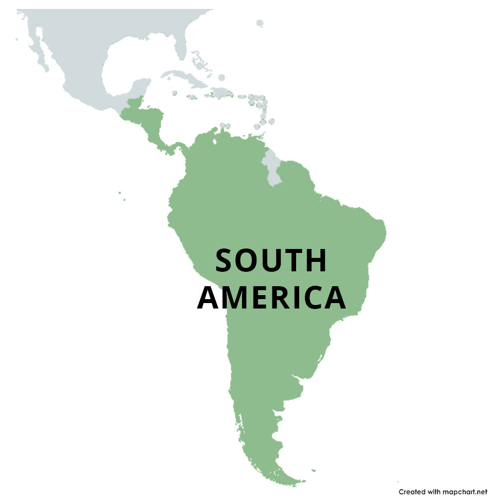 South America Rugby