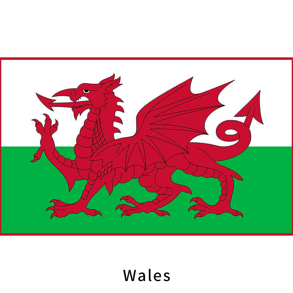 Wales Flag Fan Collection